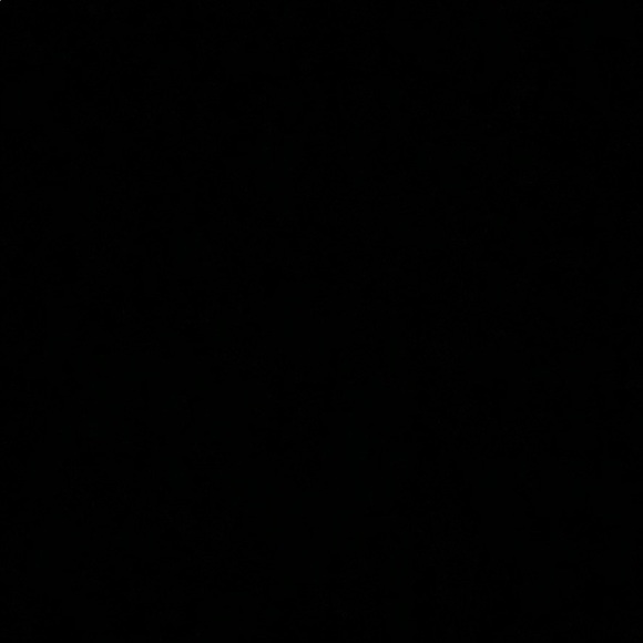 Meet your Posher, Chase - Picture 1 of 1